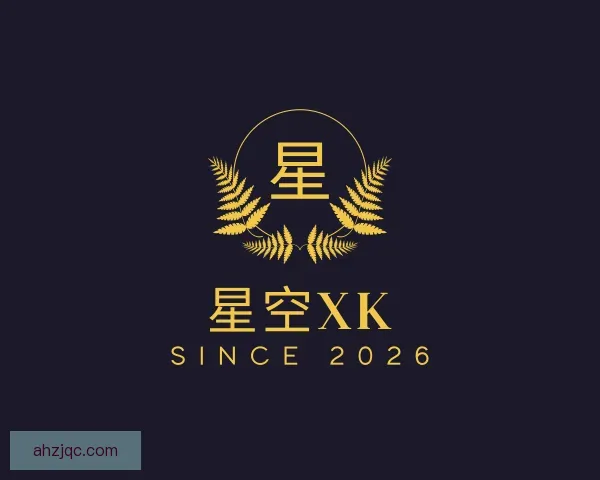 认识xk星空